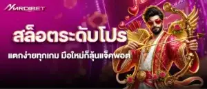 mardibet สล็อตระดับโปร แตกง่ายทุกเกม มือใหม่ก็ลุ้นแจ็คพอต